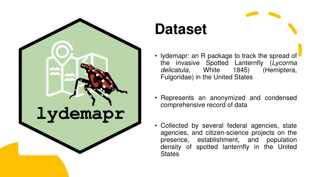 dataset