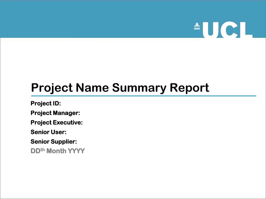 project name summary report