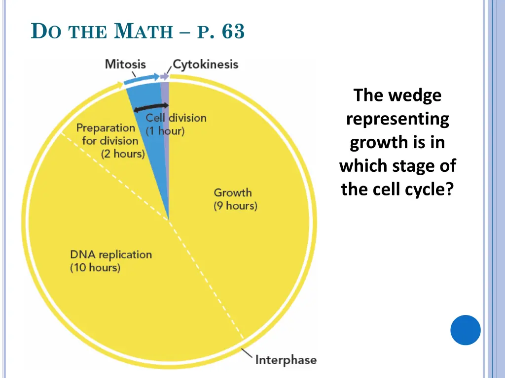 d o the m ath p 63 3