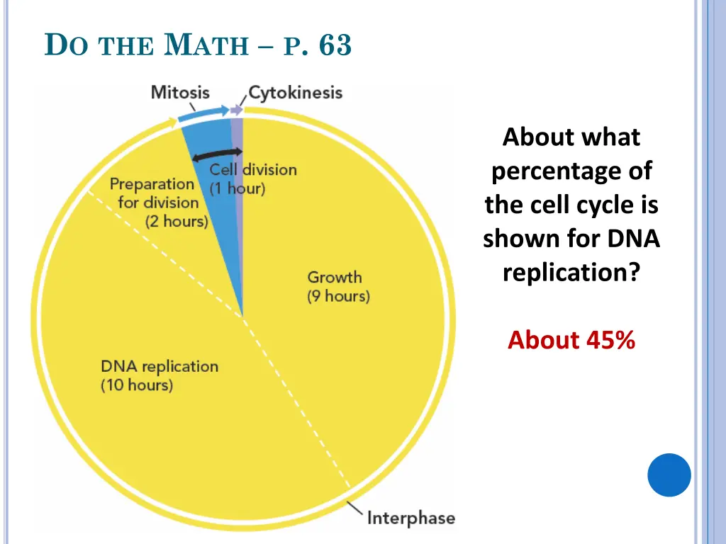 d o the m ath p 63 6