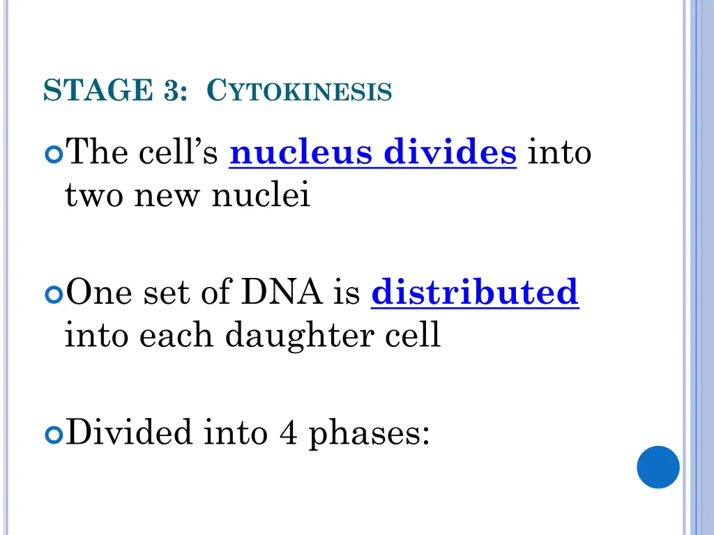 stage 3 c ytokinesis