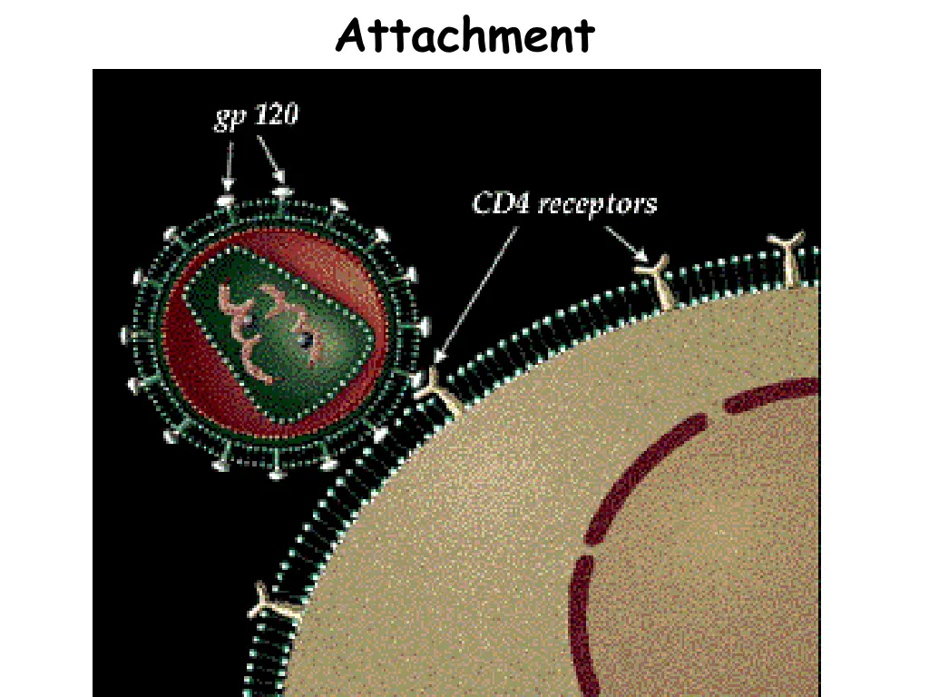 attachment