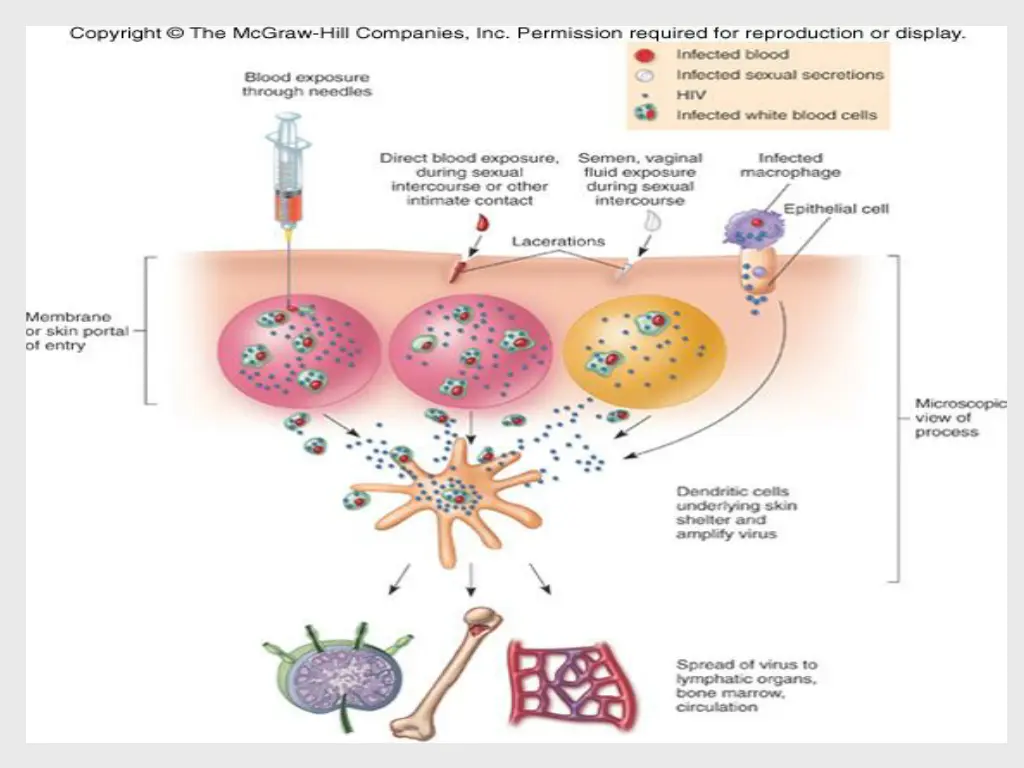 insert figure 25 14 hiv routes of infection