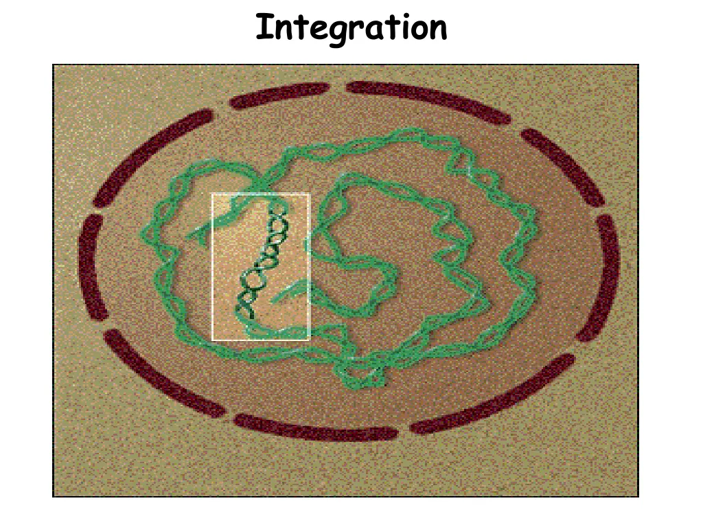 integration