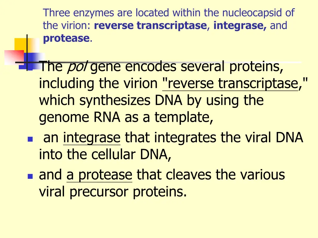 three enzymes are located within the nucleocapsid