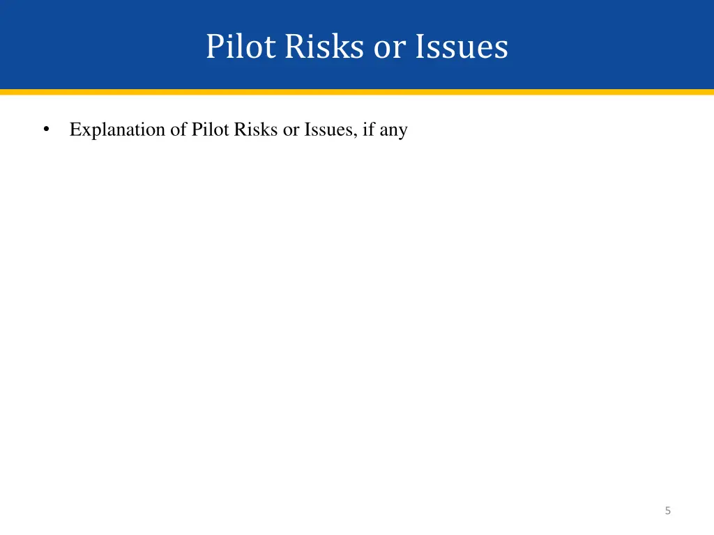 pilot risks or issues