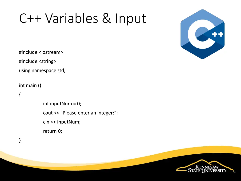 c variables input 1