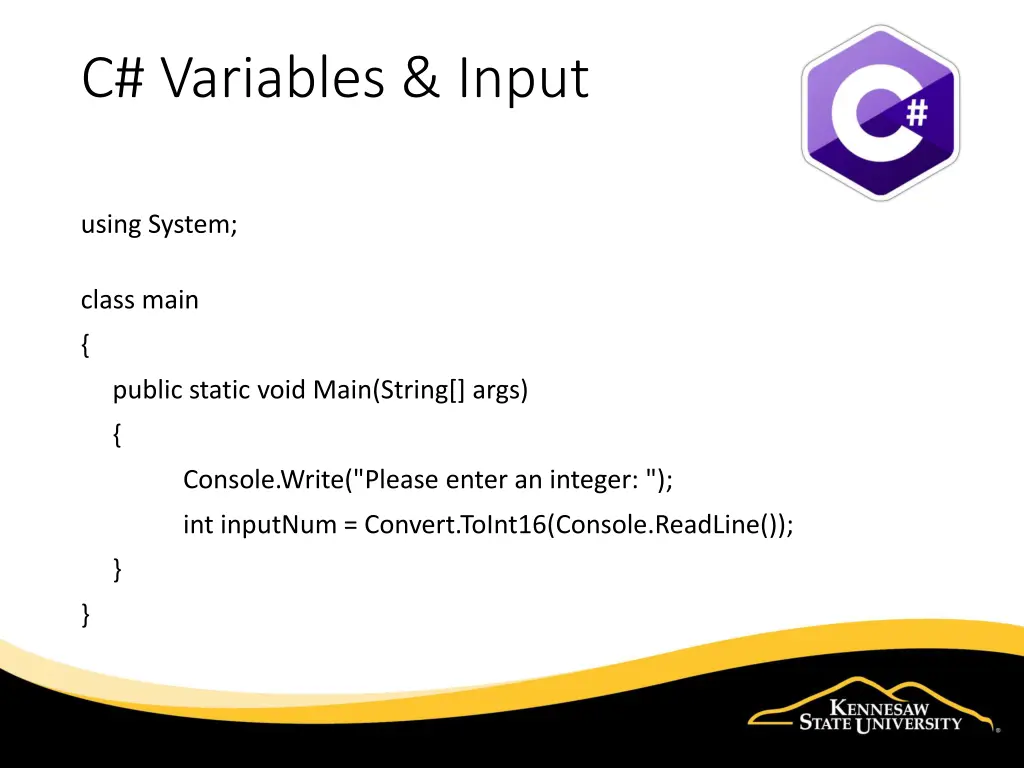 c variables input