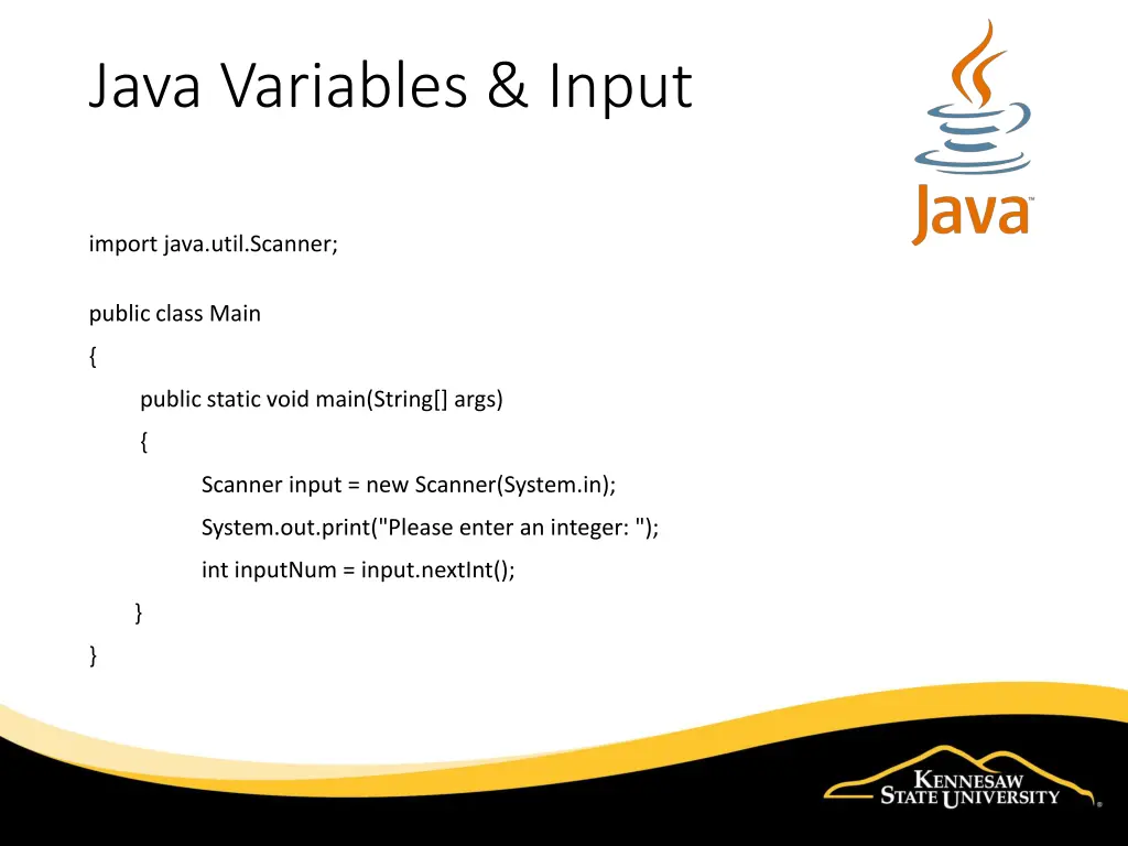 java variables input