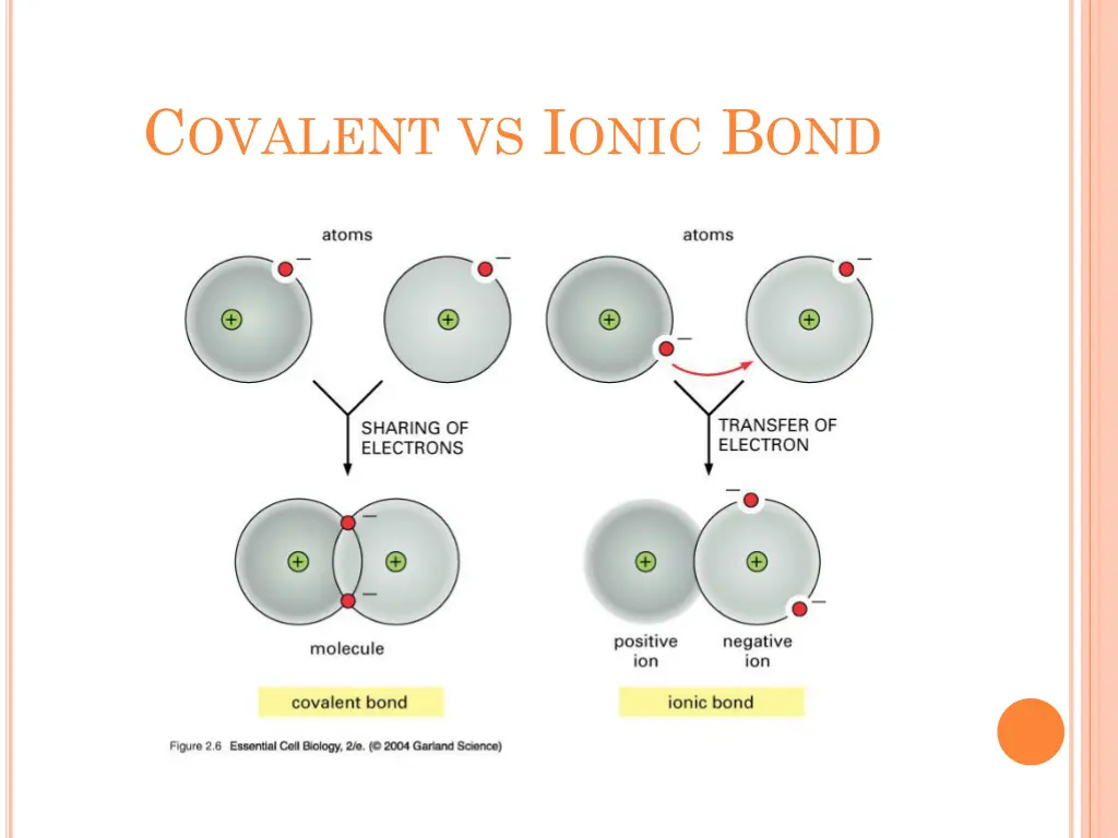 c ovalent vs i onic b ond