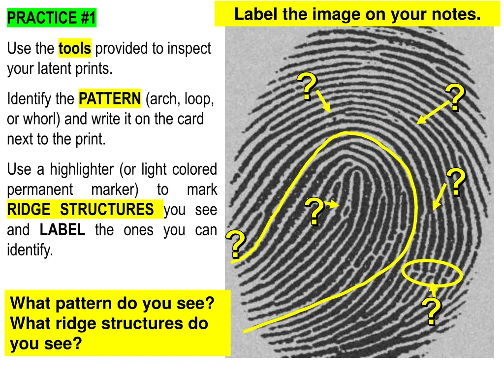 label the image on your notes