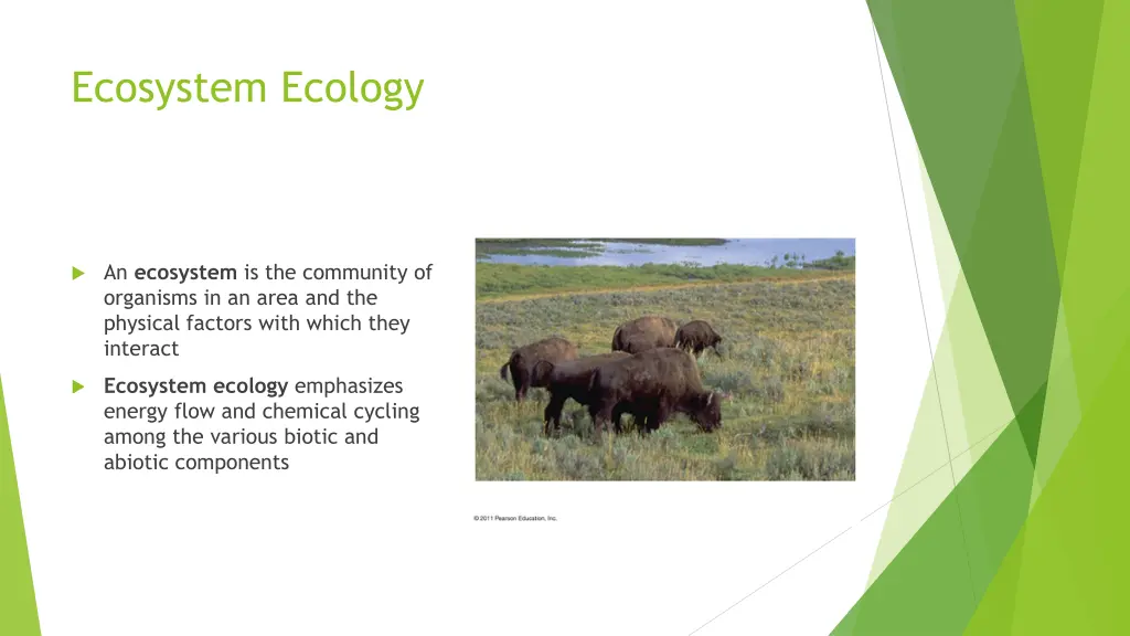 ecosystem ecology