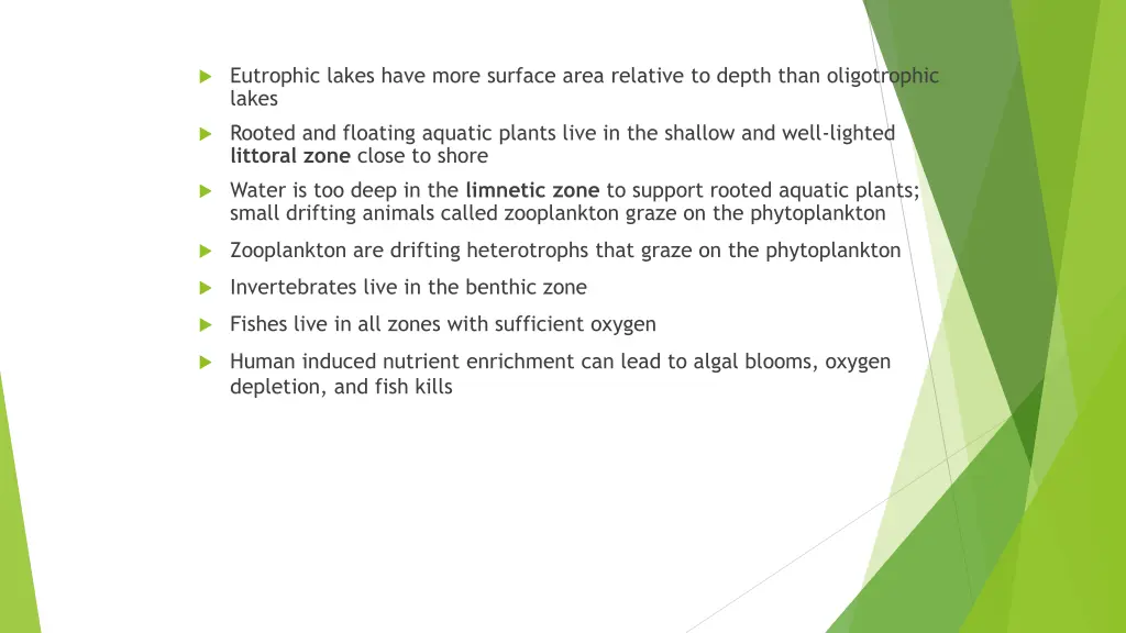 eutrophic lakes have more surface area relative