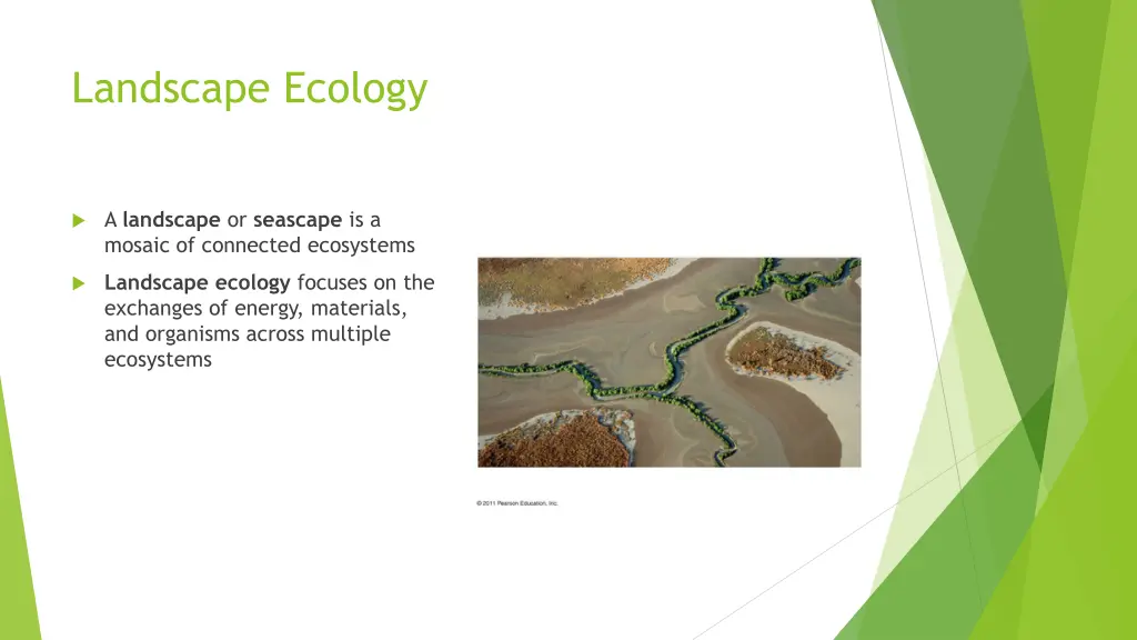 landscape ecology