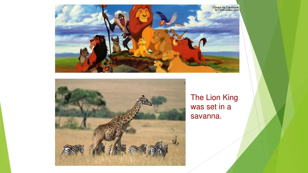 the lion king was set in a savanna