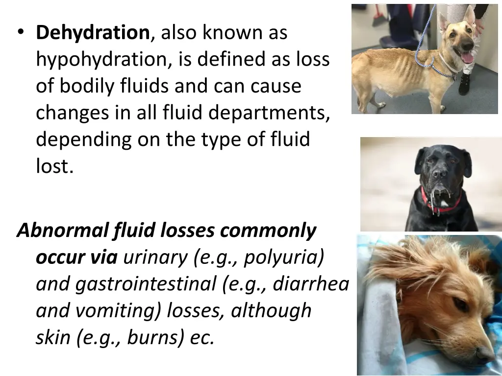 dehydration also known as hypohydration