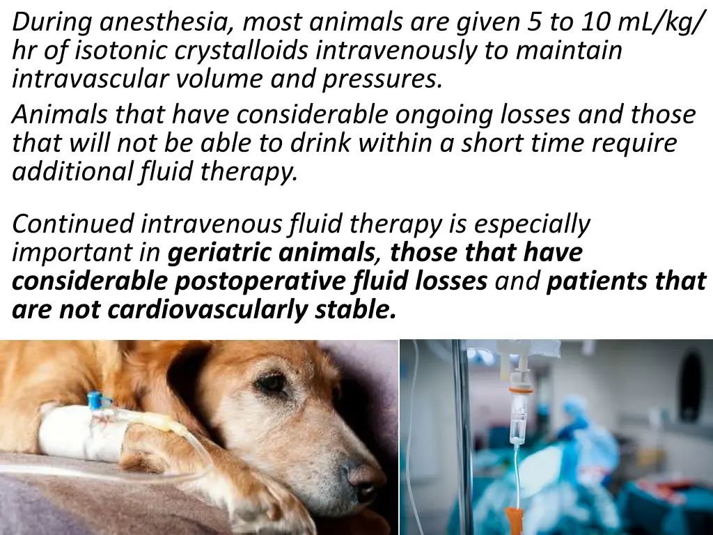 during anesthesia most animals are given