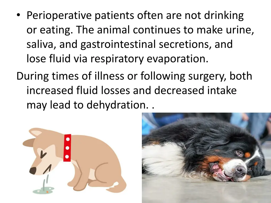 perioperative patients often are not drinking