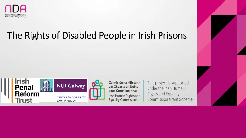 the rights of disabled people in irish prisons