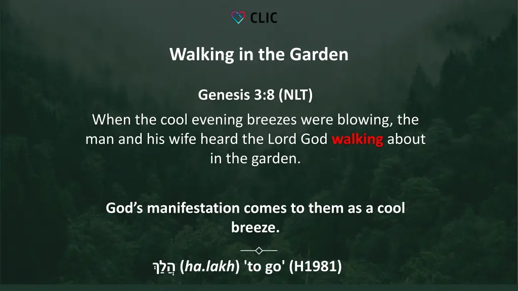 walking in the garden