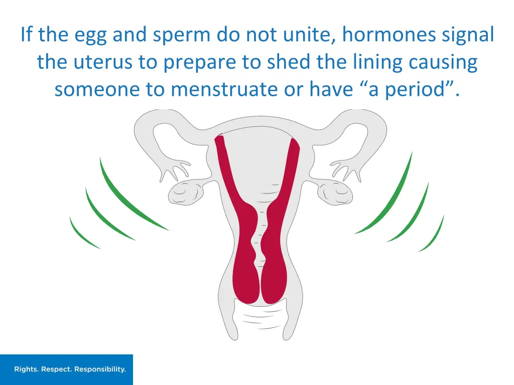 if the egg and sperm do not unite hormones signal