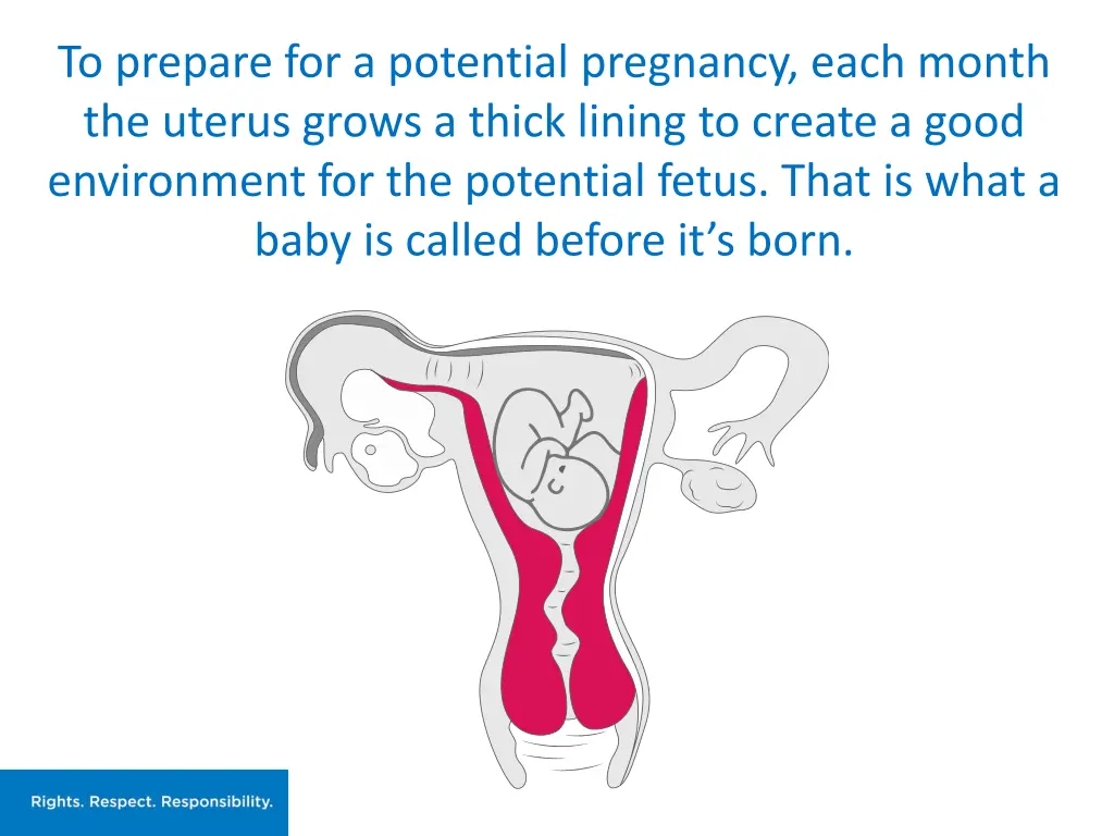 to prepare for a potential pregnancy each month