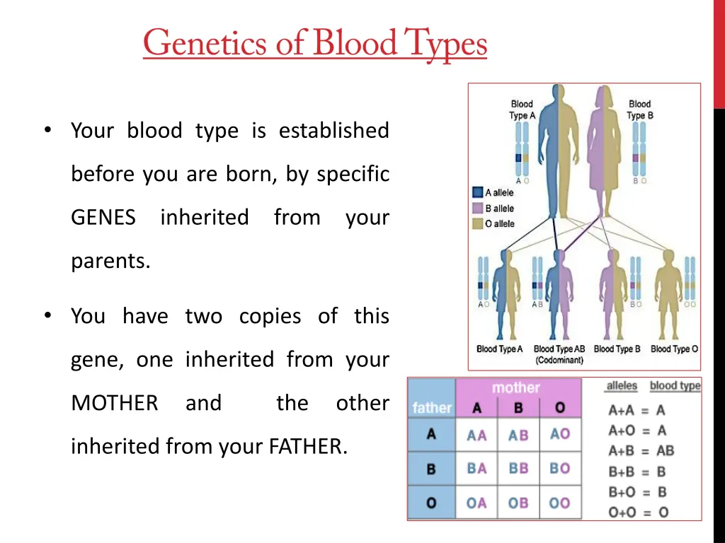 your blood type is established