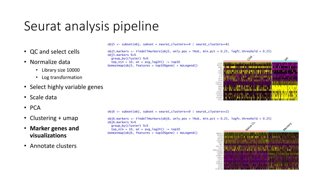 seurat analysis pipeline 11