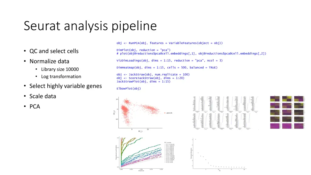 seurat analysis pipeline 4