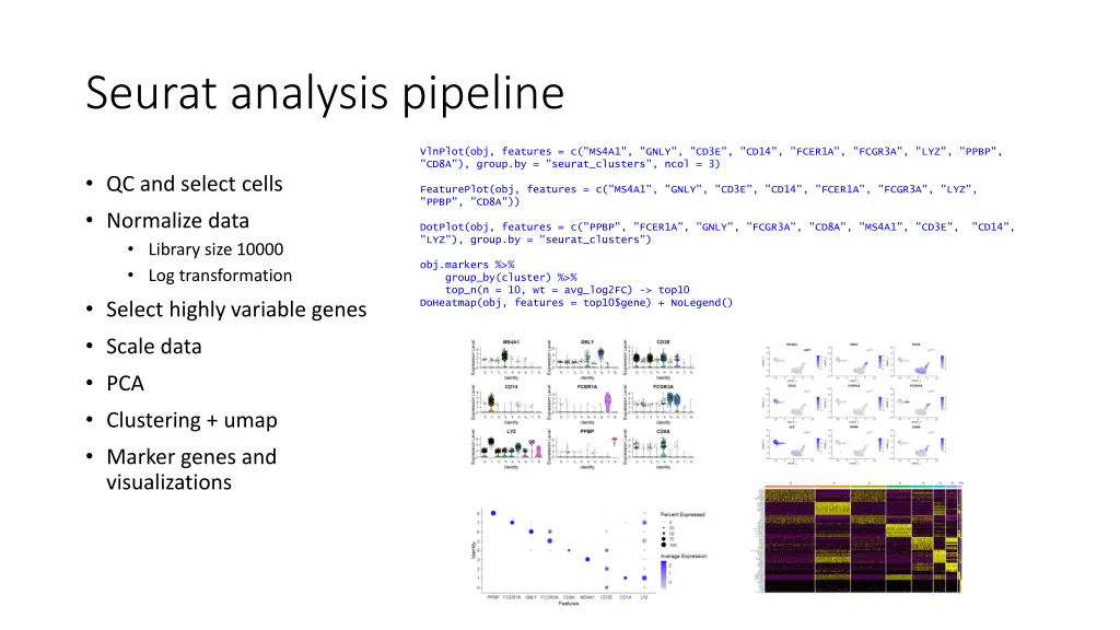 seurat analysis pipeline 6