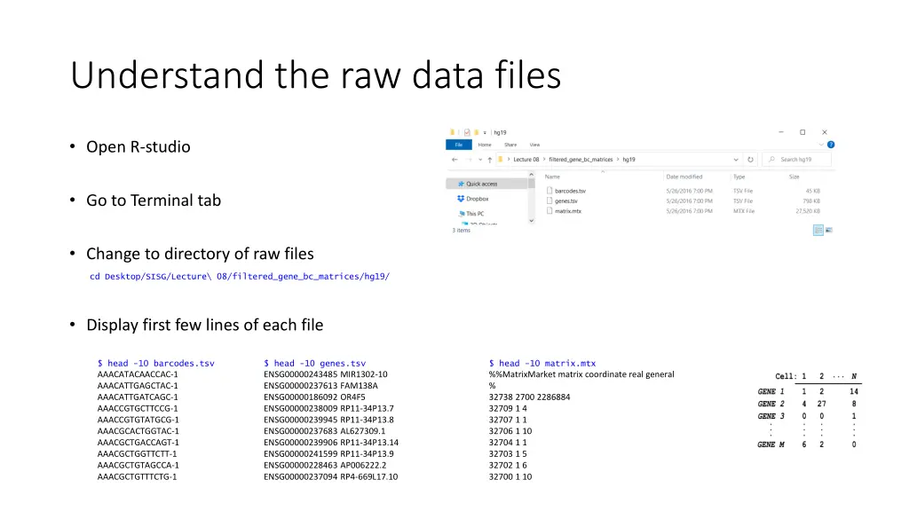 understand the raw data files