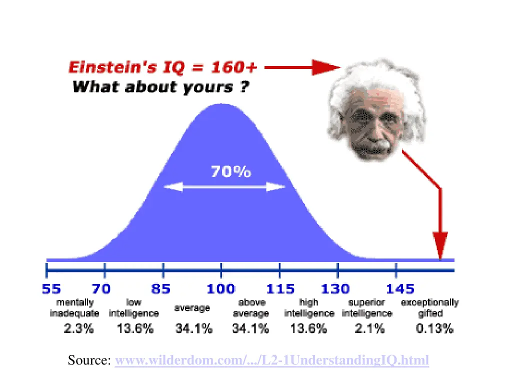 source www wilderdom com l2 1understandingiq html