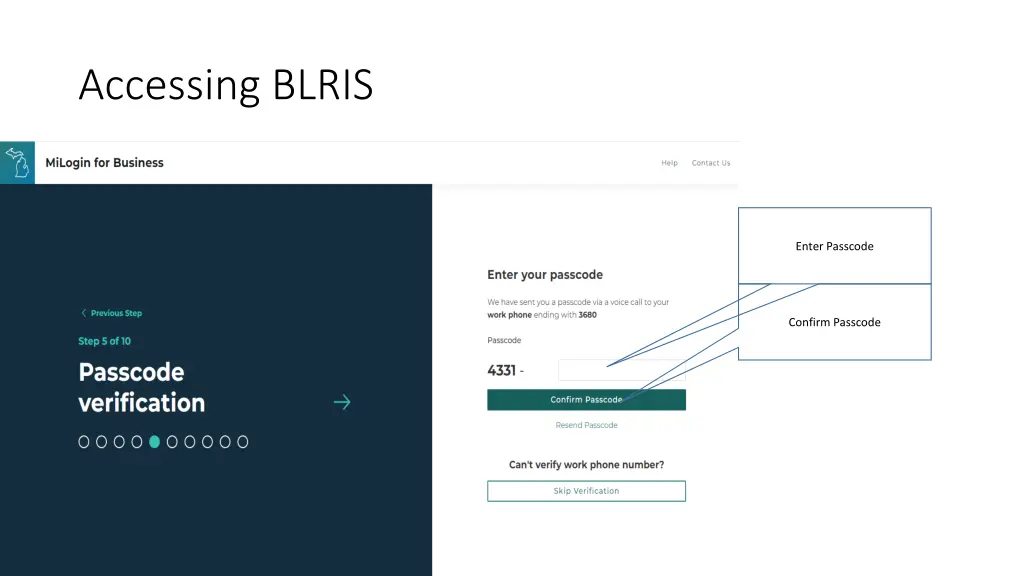 accessing blris 3