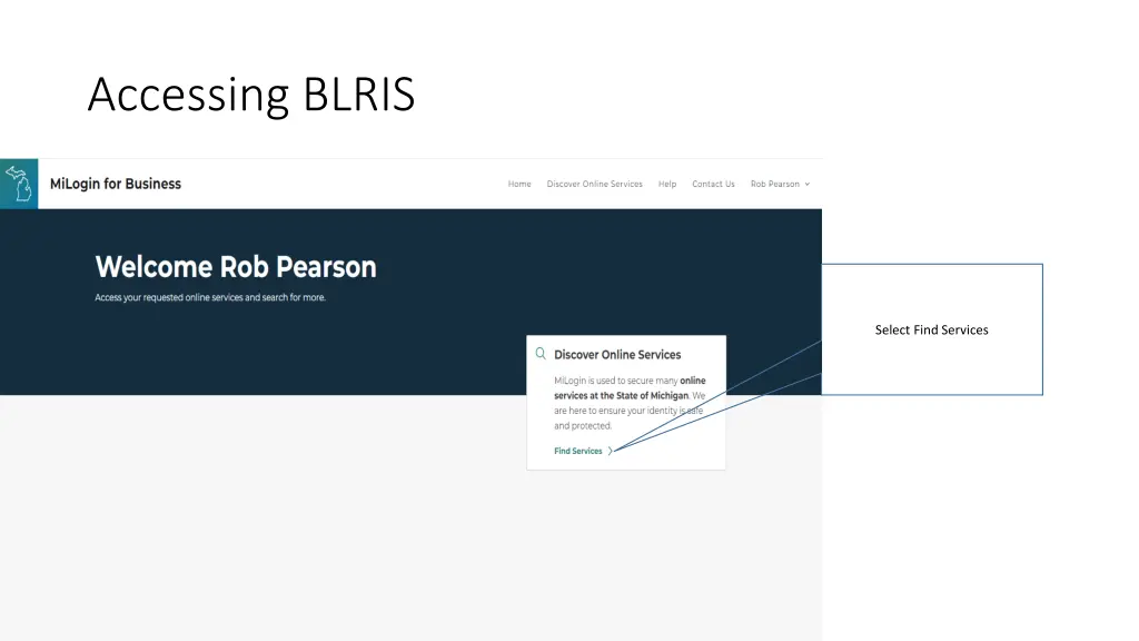 accessing blris 7