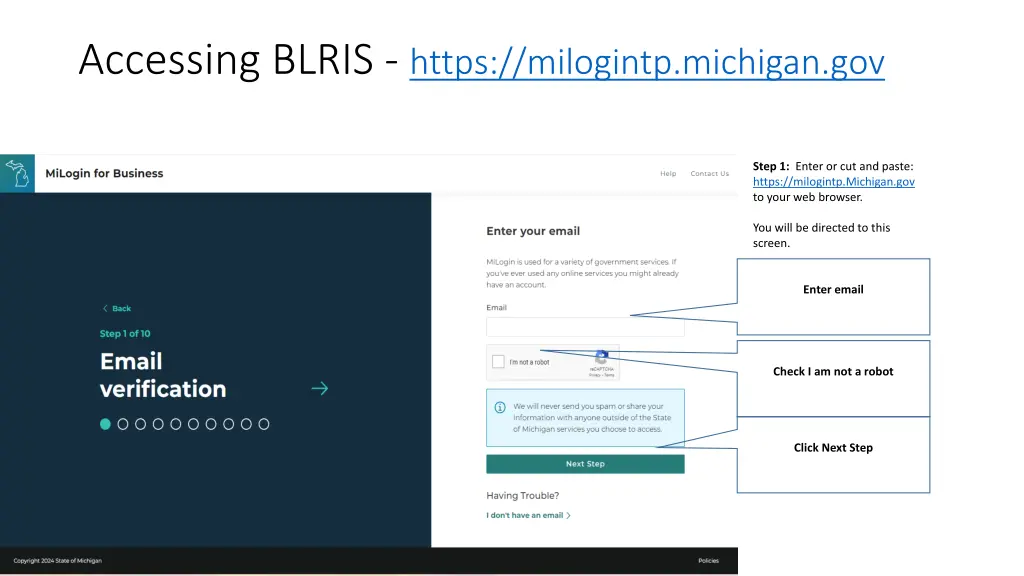 accessing blris https milogintp michigan gov