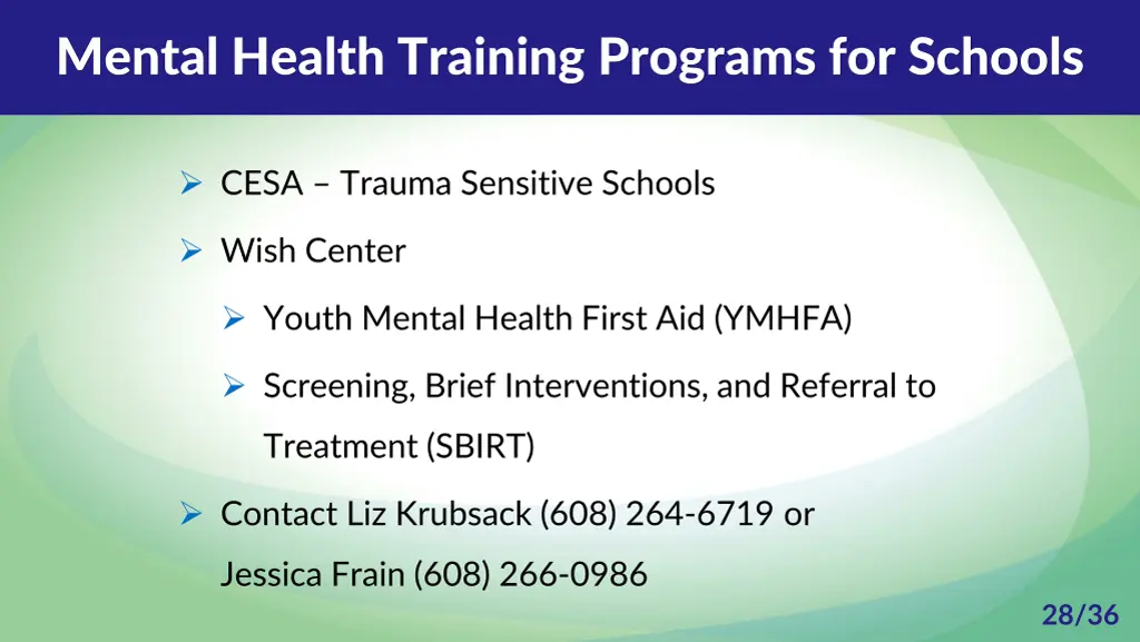 mental health training programs for schools