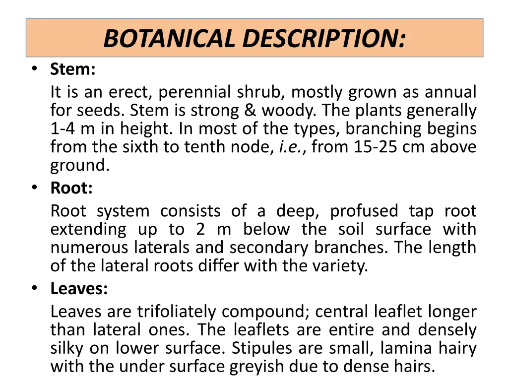 botanical description