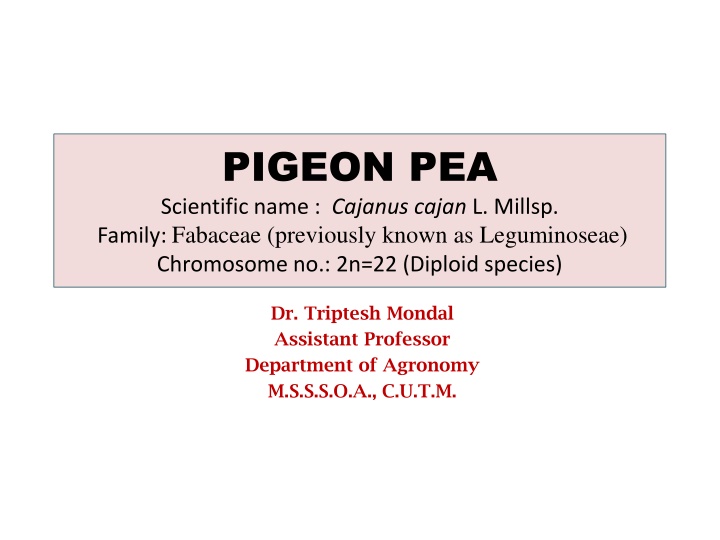 pigeon pea scientific name cajanus cajan l millsp