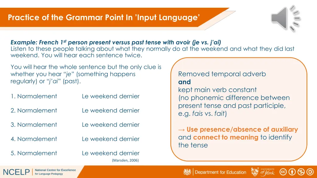 practice of the grammar point in input language 8