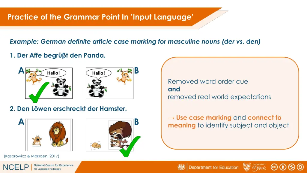 practice of the grammar point in input language 9