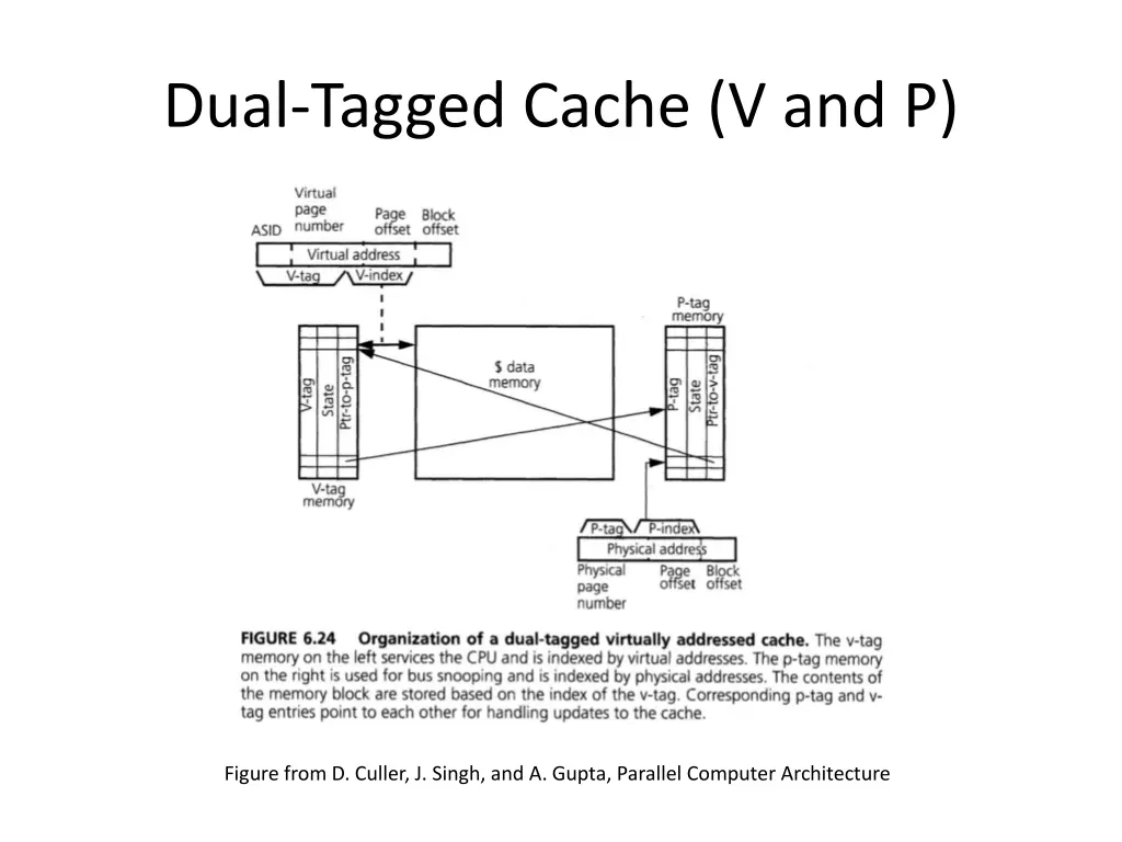 dual tagged cache v and p