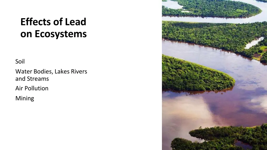 effects of lead on ecosystems