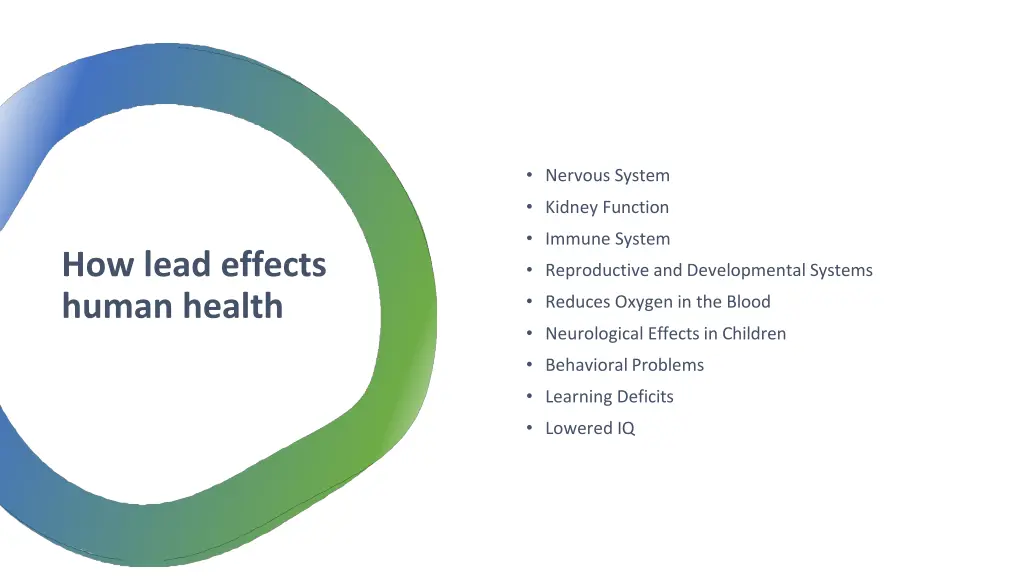 nervous system kidney function immune system