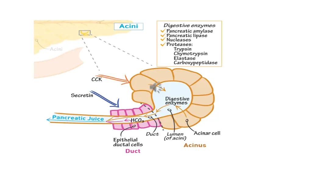 slide6