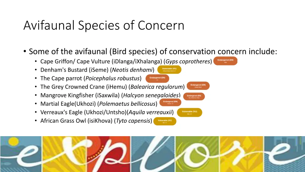 avifaunal species of concern