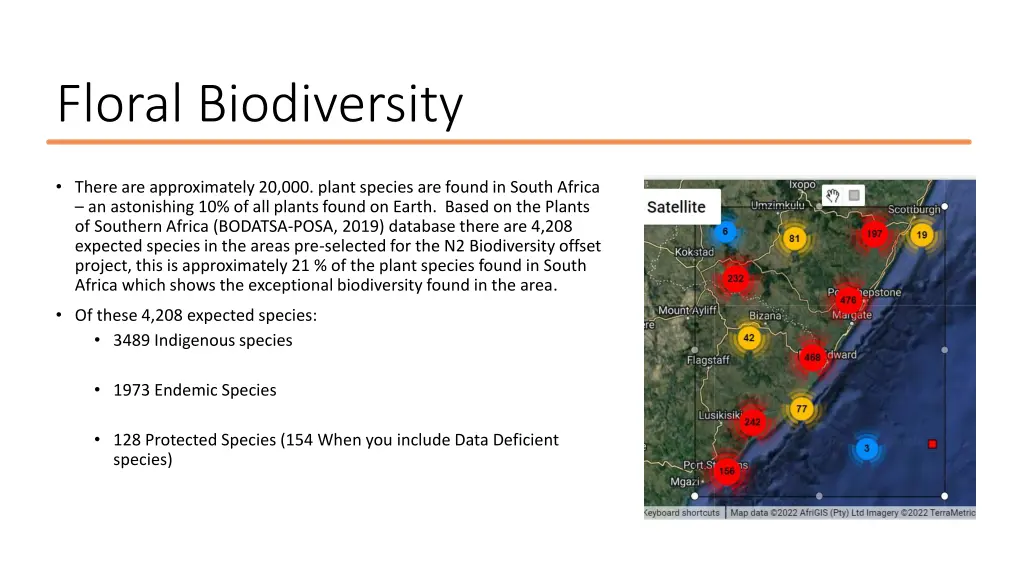 floral biodiversity