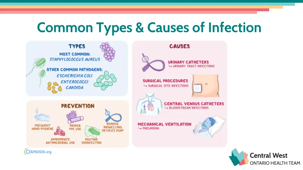 common types causes of infection