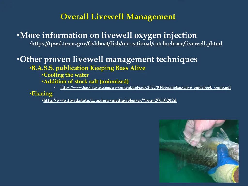 overall livewell management