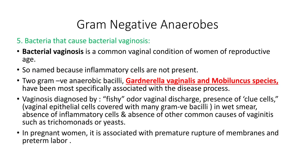 gram negative anaerobes 2