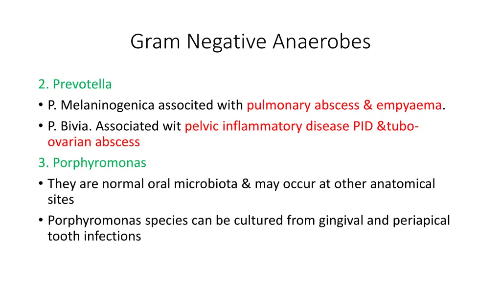 gram negative anaerobes